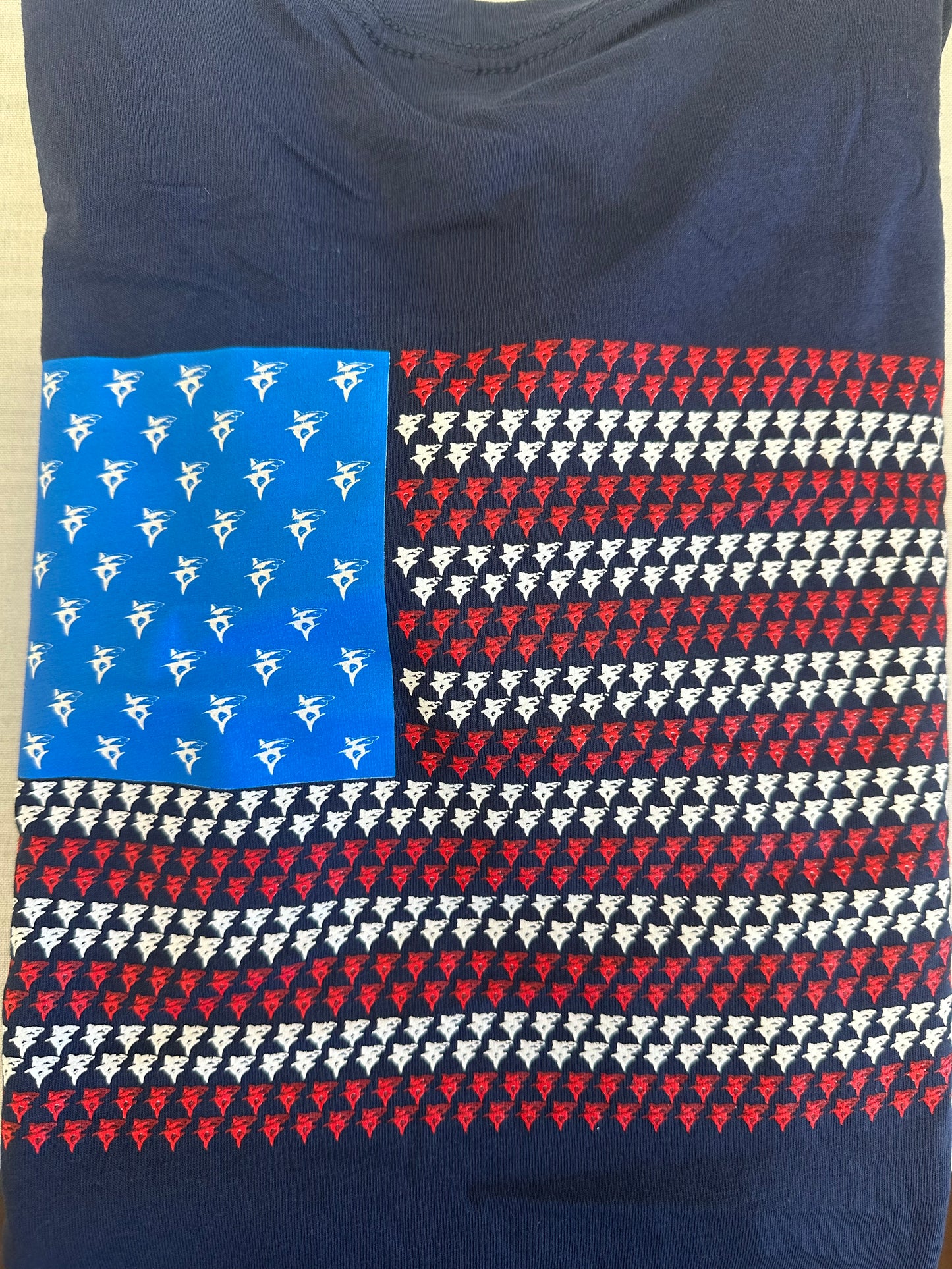 Roosevelt School | Long Island University Flag T-Shirt