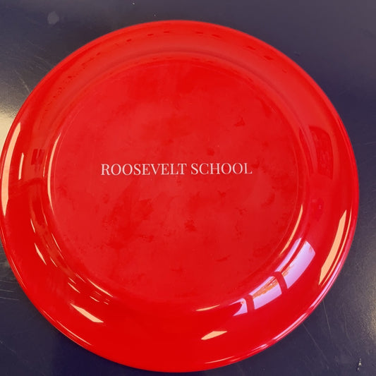 Roosevelt School Frisbee